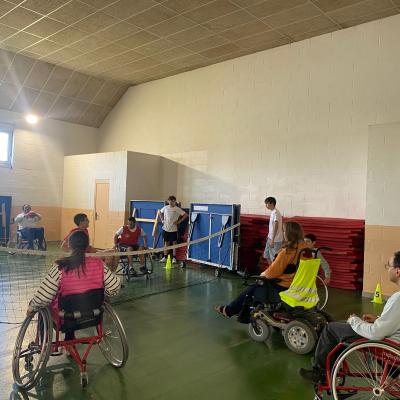 Sportifete 2025 11 